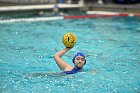 WWPolo vs CC  Wheaton College Women’s Water Polo compete in their sports inaugural match vs Connecticut College. - Photo By: KEITH NORDSTROM : Wheaton, water polo, inaugural